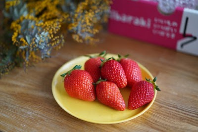 株式会社 mommy farm(マミー ファーム)