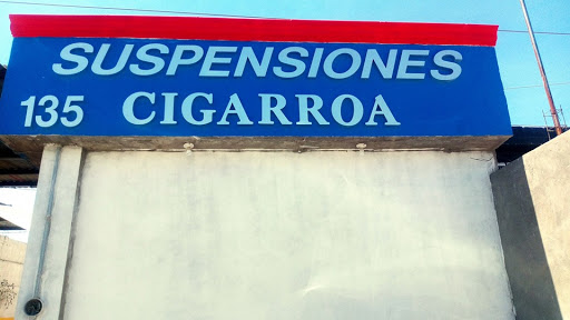 SUSPENSIONES CIGARROA (laguna sur) - Thumbnail