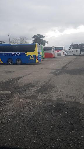 TP Bus Llanes, - Thumbnail