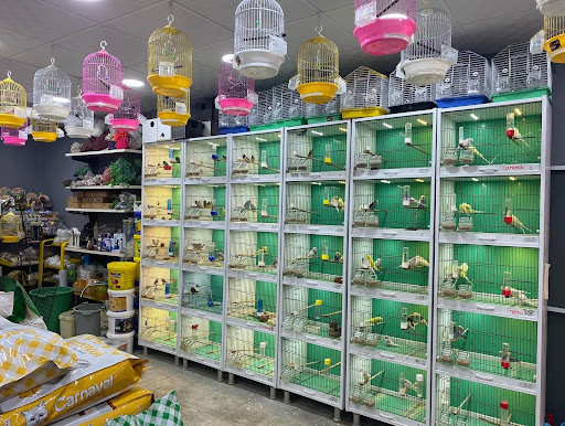 ELİT Petshop | Artuklu Mardin - Kuşçu