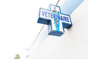 Photo n°24 de Clinique Vétérinaire Argos Saint-Brice-Courcelles (Dr Cohen) à Saint-Brice-Courcelles (Vétérinaire)