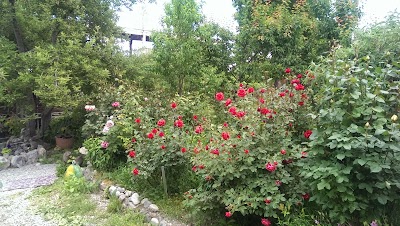Photos of гостевой дом "Вдохновение&rdquo;
