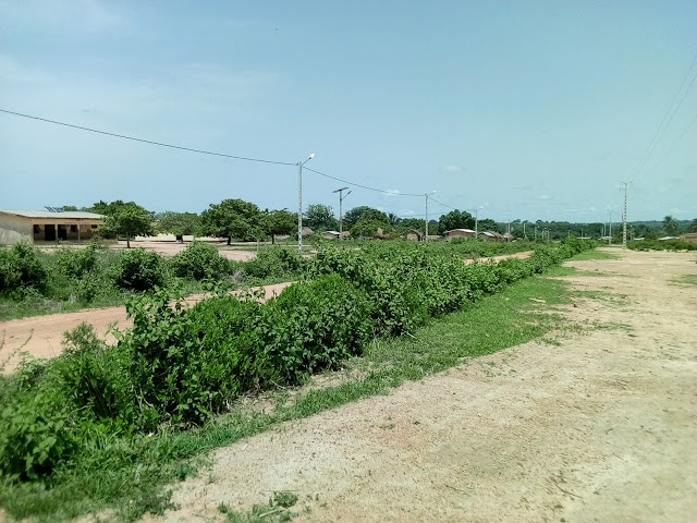 Comoé National Park