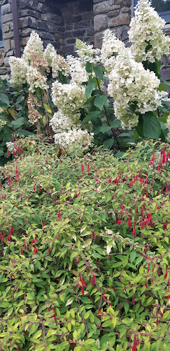 Comentarii opinii despre Le Keréden