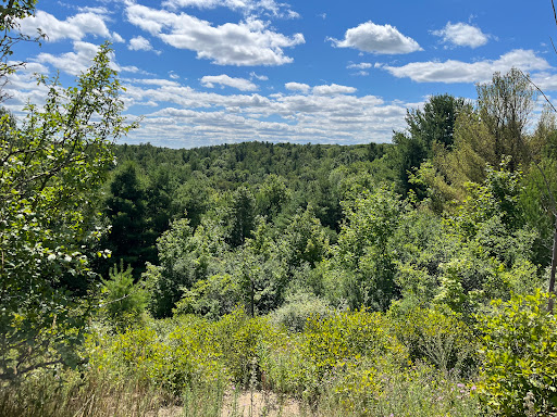 Glen Major Forest