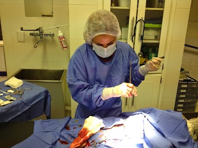 Photos of Ridge Animal Hospital