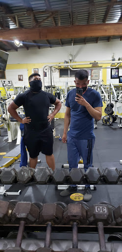 Pro Life GYM