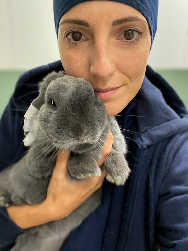 vet chiara - Visual