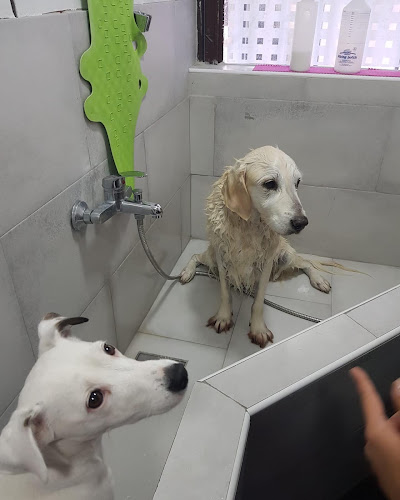 Superstar Grooming ( Salon za negu ljubimaca )