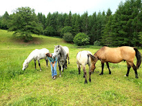 Six Pieds Sur Terre, Psychothérapie, PNL, Equithérapie, Constellations familiales, Peyrat-le-Château, Haute-Vienne à Saint-Julien-le-Petit