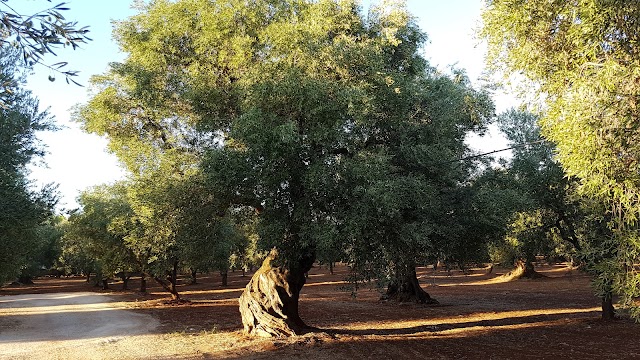 Alloggi Agrituristici Lamacavallo