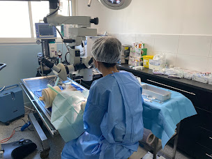 Photo n°25 de Clinique Vétérinaire Vetolac à Le Bourget-du-Lac (Vétérinaire)