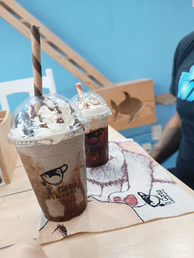 Il Gato Cat Café Gallery - Mexico