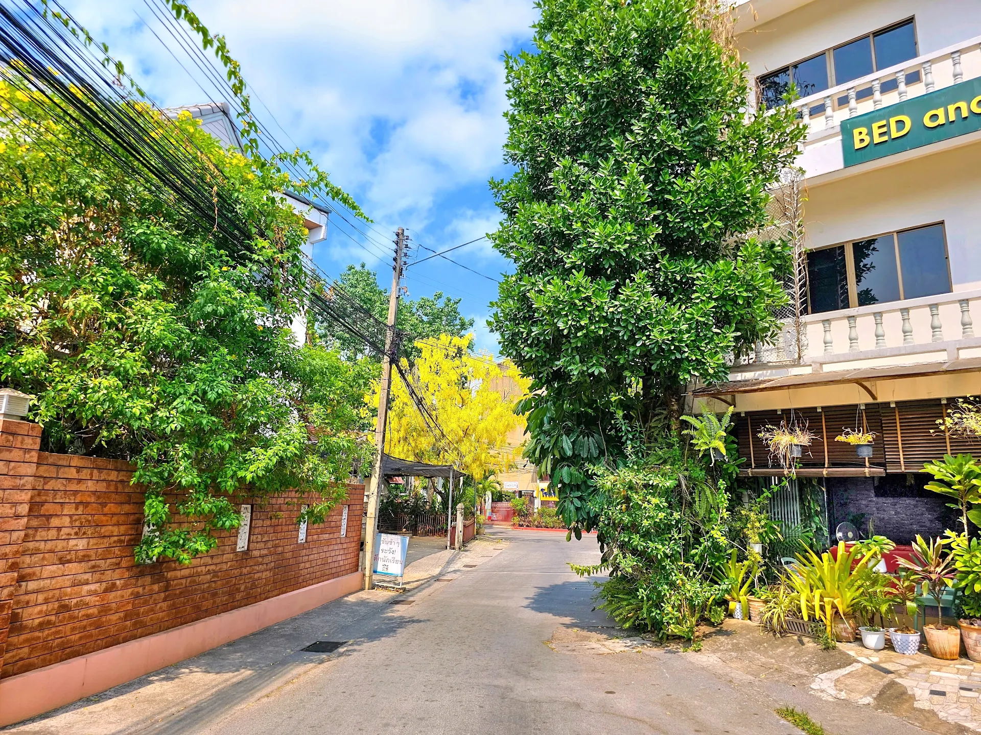 Bed and Terrace Guesthouse Chiang Mai