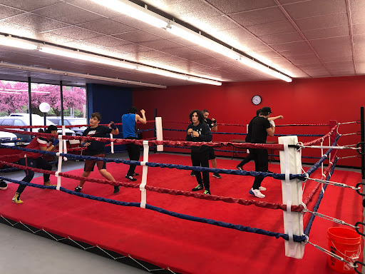 5Star Boxing and Fitness - Thumbnail