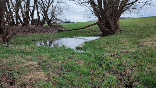 Teichhäuser Teich - Thumbnail