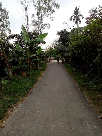 Photos of Molla Market Masjid