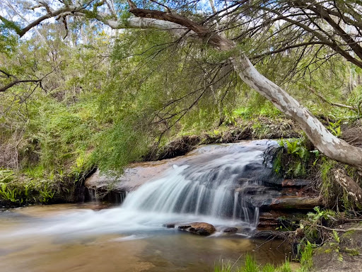 Minnehaha Reserve Carpark - Thumbnail