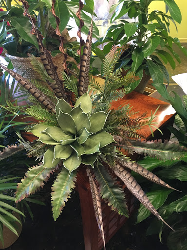 Bren's Flowers - Thumbnail