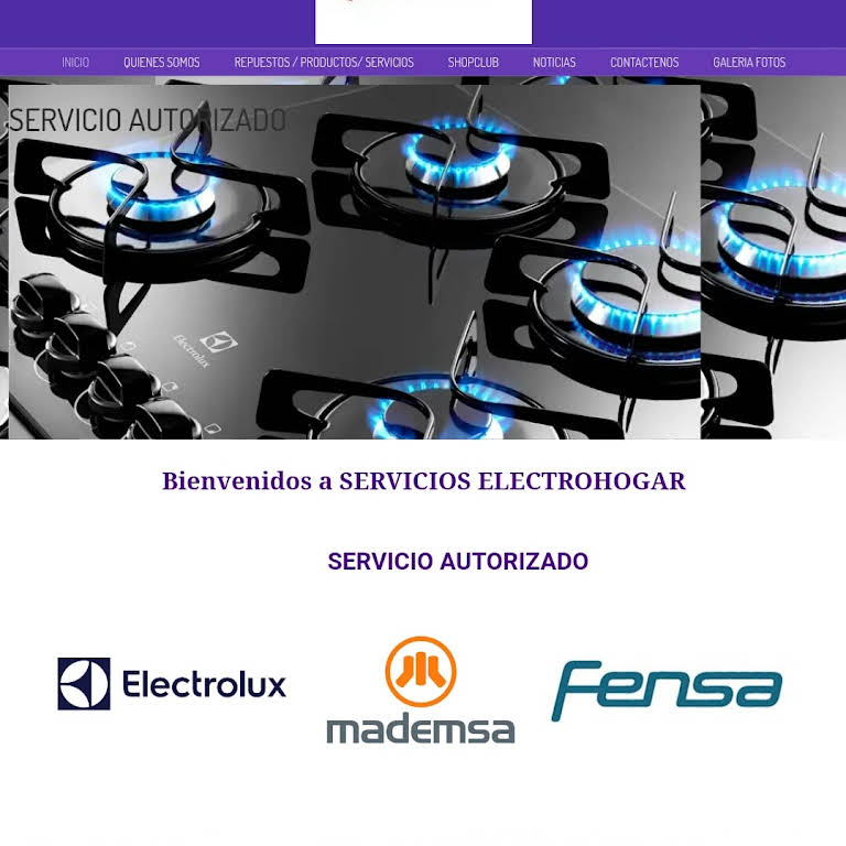 SERVICIOS ELECTROHOGAR Repuestos Fensa Mademsa