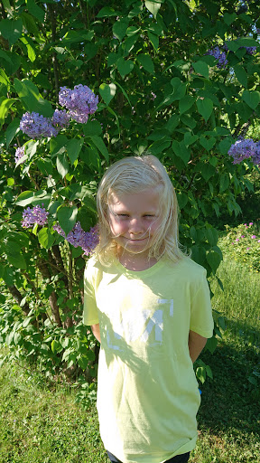 Vilhelmina Församlingshem Gallery - Sweden