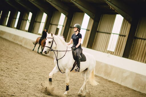 Bishop Burton Equine Centre - Thumbnail