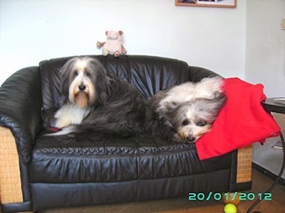 Photos of Hundesalon Fellzauber