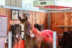 Photo n°15 de Les Ecuries d'Avaren à Saint-Martin-de-Seignanx (Écurie)