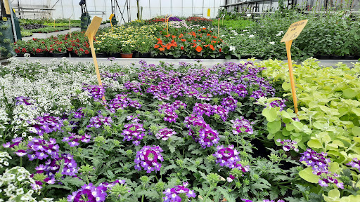 La Voivrotte Horticulture - Thumbnail