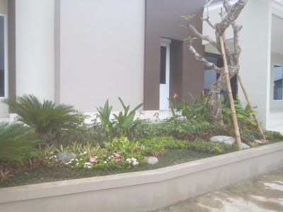 Photos of Aleandra Florist