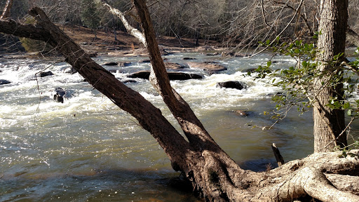 Tyger-10 Nature Park - Thumbnail
