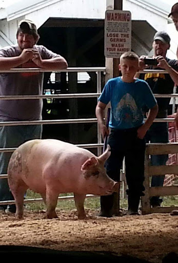 Marcus Fairgrounds - Visual