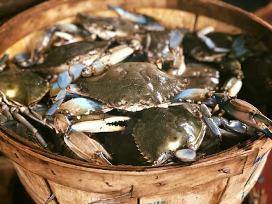 Capt Hais Fresh Seafood Market & Deli 1107 N East Ave #4424, Panama City, FL 32401