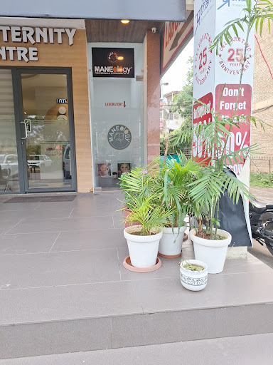 Gallery image 2