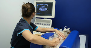 Photo n°36 de Clinique vétérinaire Univet Nice le Port à Nice (Vétérinaire)