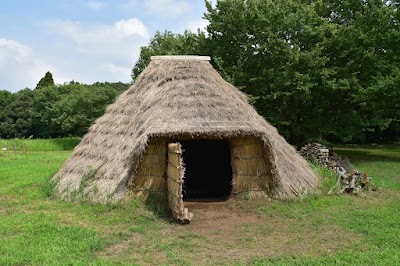 千葉市立加曽利貝塚博物館