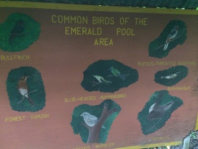 Photos of Emerald Pool