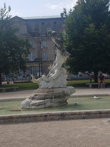 Bassin de la Préfecture - Thumbnail
