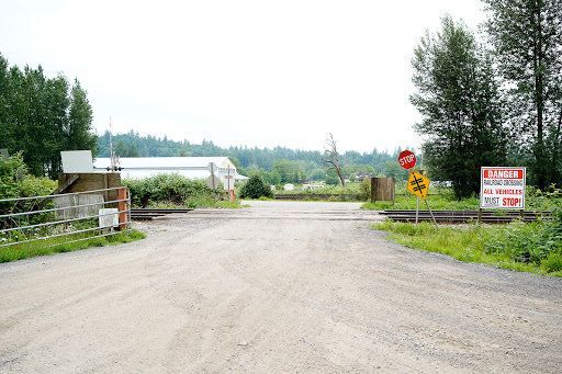 Fort Langley Airport