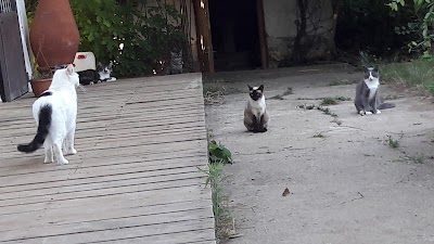 Photos of Nark&ouml;y