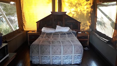 Photos of Tamboti Tented Camp