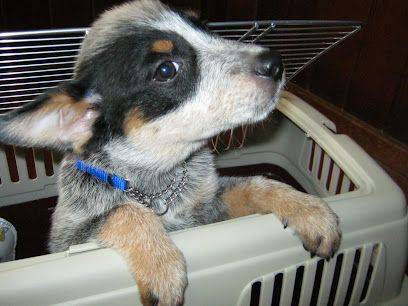 Valley Glen Veterinary Hospital