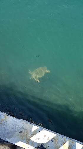 GIANNIS TZANIS cut&color