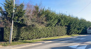 Photo n°12 de Elagage abattage seine et marne - Mr Bottier à Coulommiers (Service d'élagage)