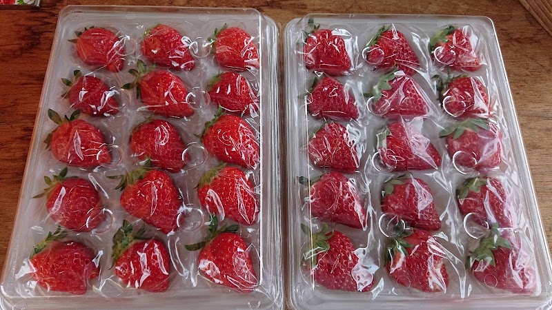 いちご狩りあまいの大好き！農園