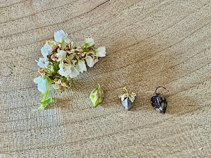 Photo n°1 de Lulu Sarrasin à Chanteloup (Crêperie)