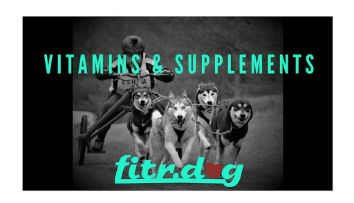 fitr.dog - Visual