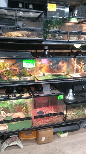 Magic Isle Aquarium Gallery - United States