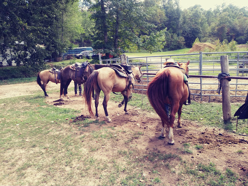 Calico Junction New Beginnings Ranch, Inc. - Thumbnail