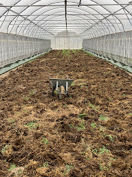 Photo n°40 de La Ferme de Sainte Marthe à Loire-Authion (Fournisseur de semences)